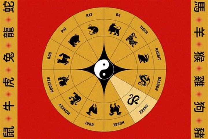 Chinese Astrology 1974: Your Ultimate Guide to the Year of the Tiger