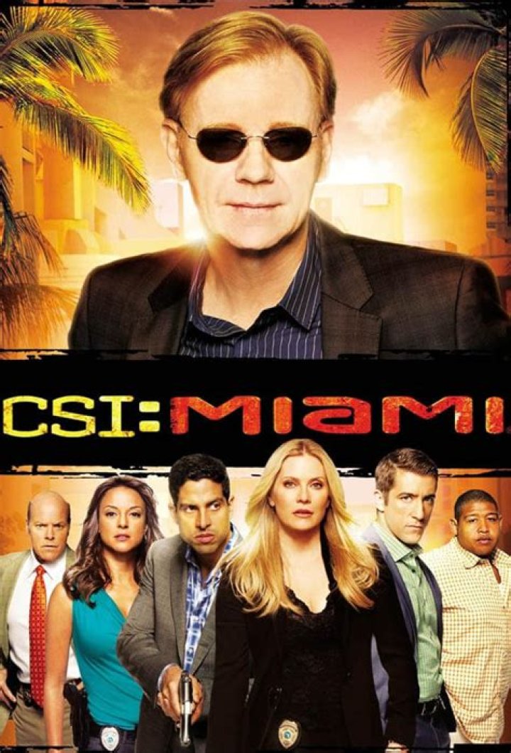 CSI Horatio Caine: The Iconic Detective Who Revolutionized Crime Drama