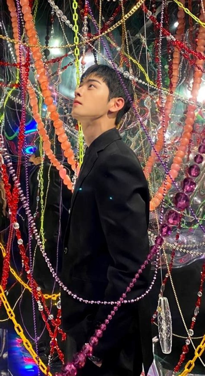 Eunwoo Cha: Rising Star in the K-Pop Industry