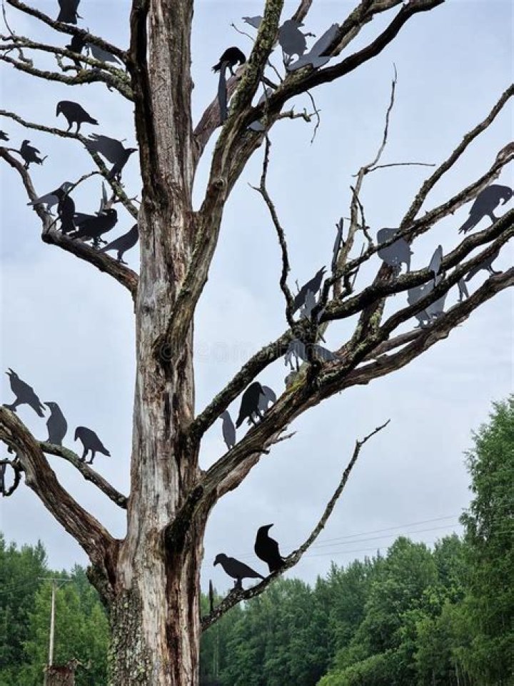 Fake Crows: Exploring the Phenomenon and Understanding Its Impact