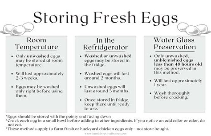 How Long Do Hard-Boiled Eggs Last in the Refrigerator? A Comprehensive Guide