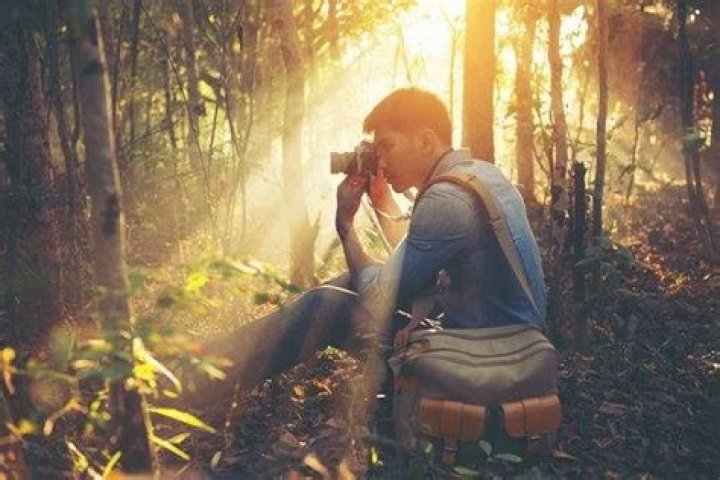 Merrittub Photos: Capturing Life's Moments in Stunning Detail