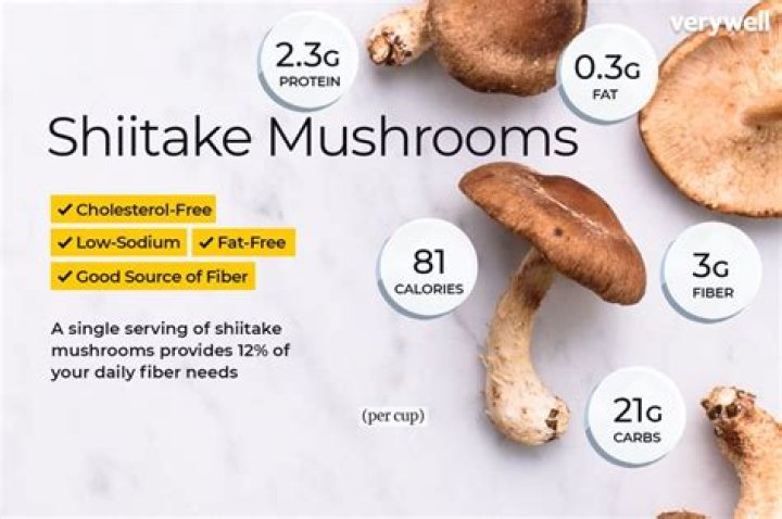 Unveiling the Power of Shiitake Benefits: Your Ultimate Guide to Health and Wellness