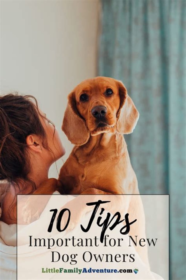 When Do Dogs Open Eyes: A Comprehensive Guide for New Puppy Owners